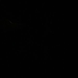 Meet your Posher, Danilo